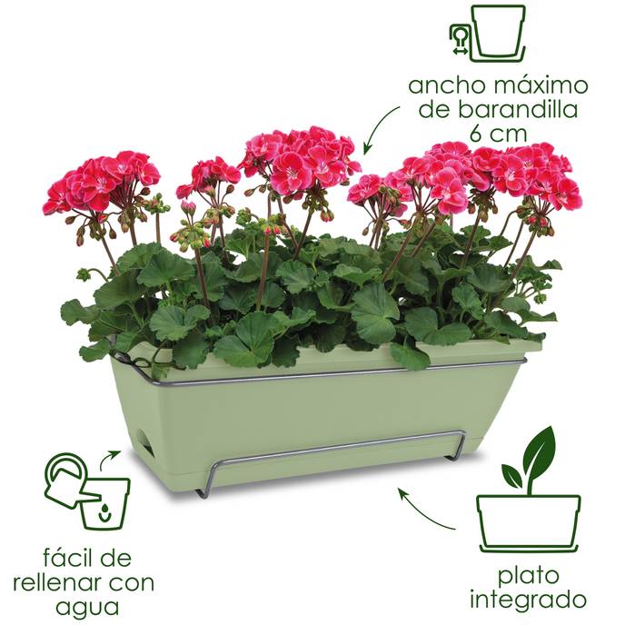 barcelona allin1 50cm pistache green